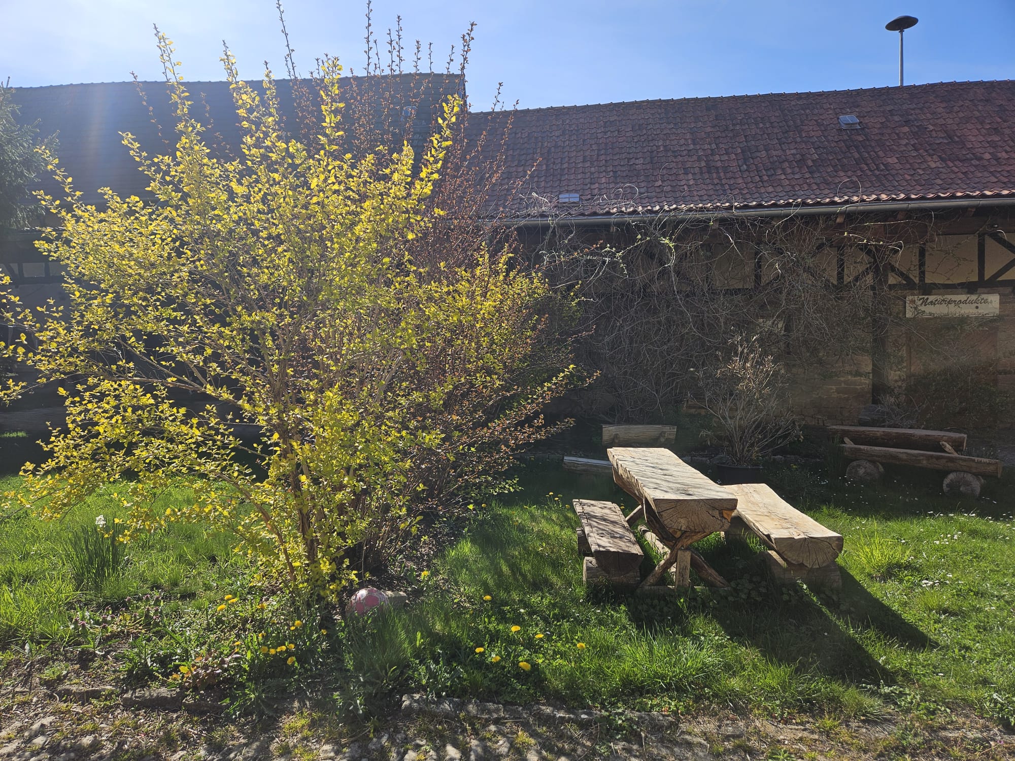Grünfläche außerhalb des Hofes