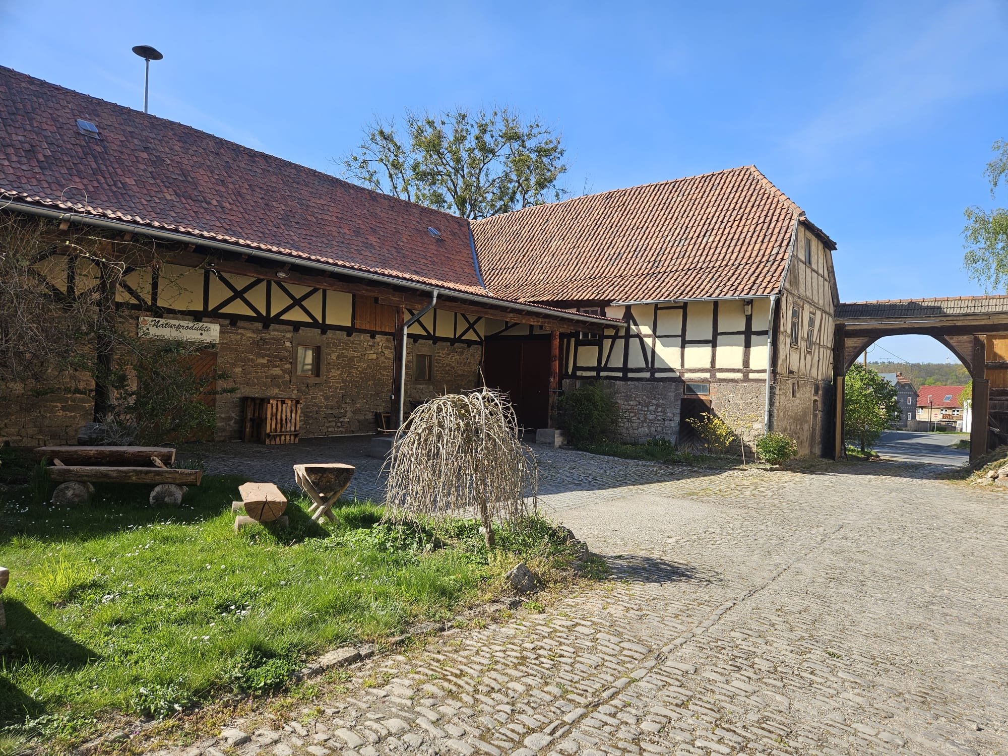 Großzügiger Innenhof mit Grünflächen und Baumbestand